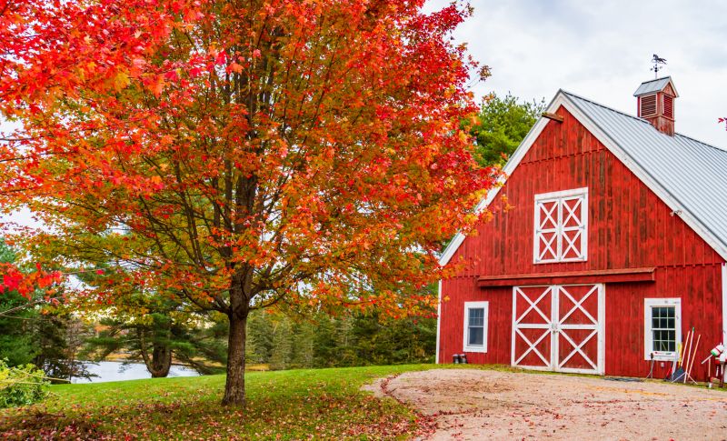 Barn Doors Painting in Longmont, CO