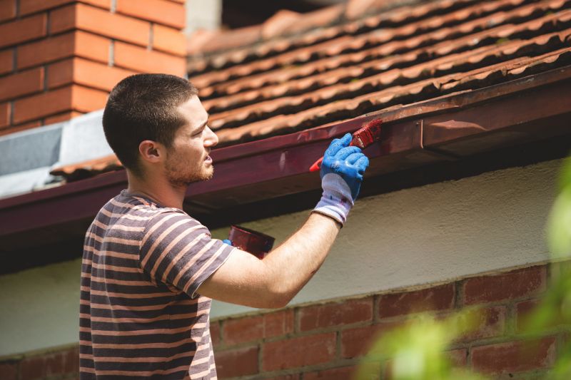 Soffit Painting in Arvada, CO